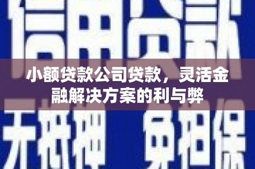 德庆小额贷款公司贷款，灵活金融解决方案的利与弊